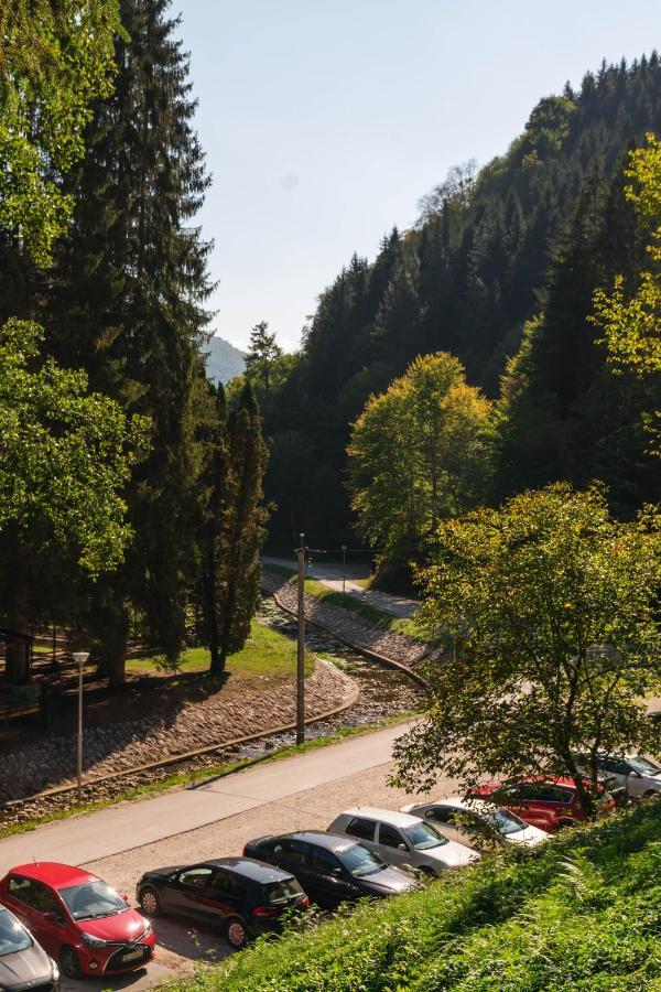 Anin Dvor Sekovici Appartement Buitenkant foto
